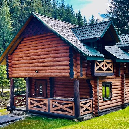 У Віти Котедж4 Synevyrsʼka Polyana Buitenkant foto