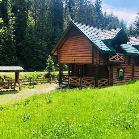 У Віти Котедж4 Synevyrsʼka Polyana Buitenkant foto